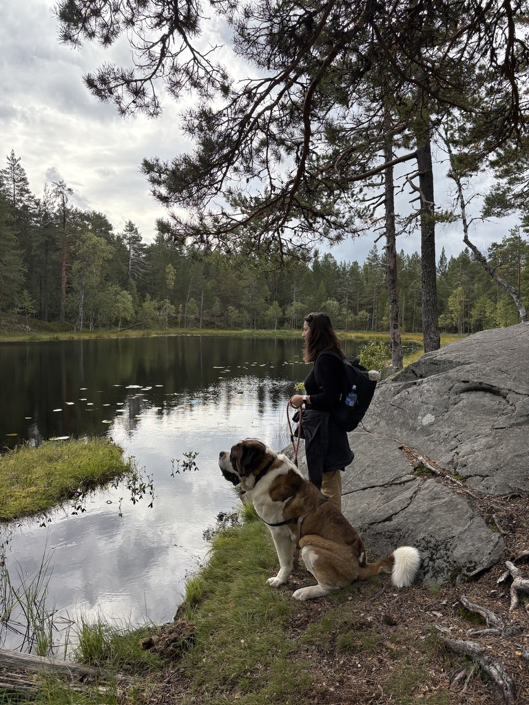 Six Months in Norway: Running Out of Excuses